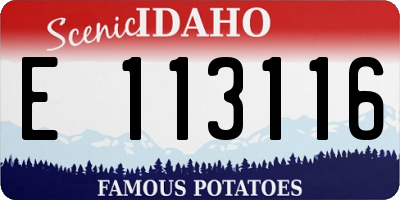 ID license plate E113116