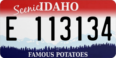 ID license plate E113134