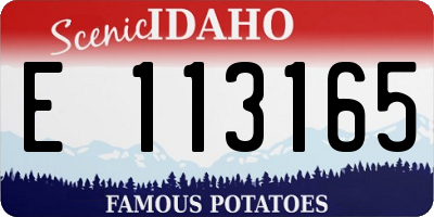 ID license plate E113165