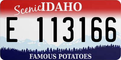 ID license plate E113166