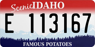 ID license plate E113167