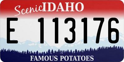 ID license plate E113176
