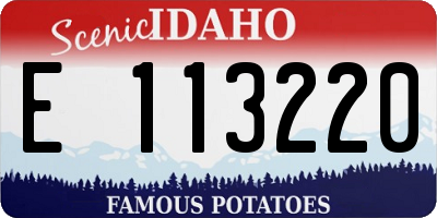 ID license plate E113220