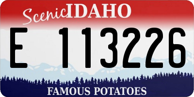 ID license plate E113226