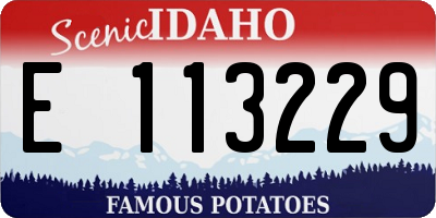 ID license plate E113229