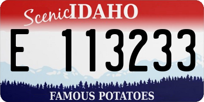ID license plate E113233
