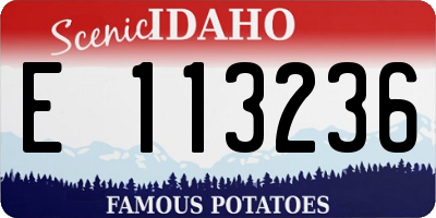 ID license plate E113236
