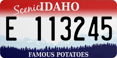 ID license plate E113245