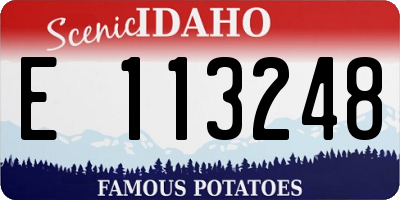 ID license plate E113248