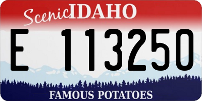 ID license plate E113250