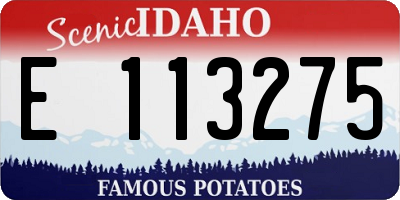 ID license plate E113275