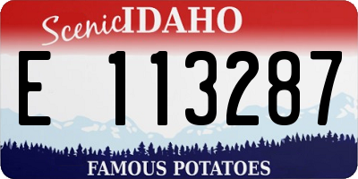 ID license plate E113287