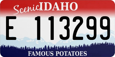 ID license plate E113299
