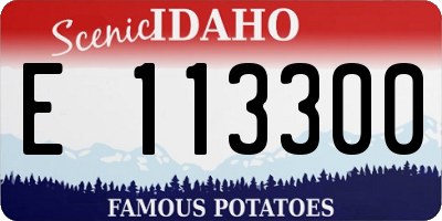 ID license plate E113300