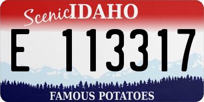 ID license plate E113317