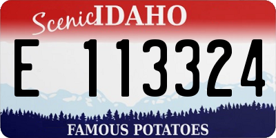 ID license plate E113324