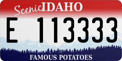 ID license plate E113333