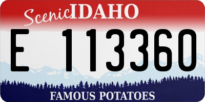 ID license plate E113360
