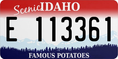 ID license plate E113361