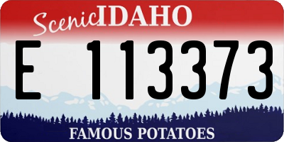 ID license plate E113373