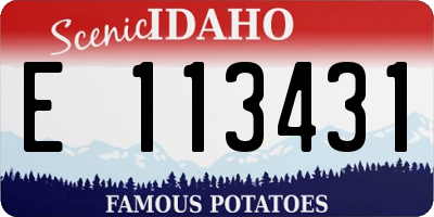 ID license plate E113431