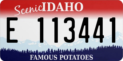 ID license plate E113441