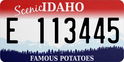 ID license plate E113445
