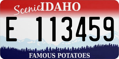 ID license plate E113459
