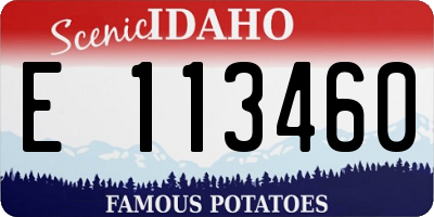 ID license plate E113460