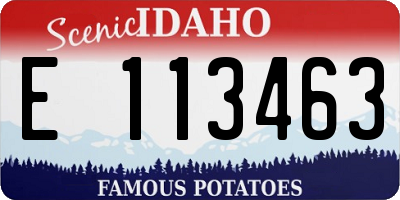 ID license plate E113463
