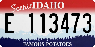 ID license plate E113473