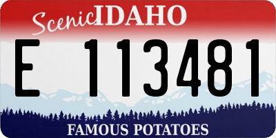 ID license plate E113481