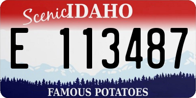 ID license plate E113487