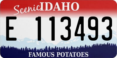 ID license plate E113493