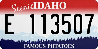 ID license plate E113507
