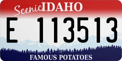 ID license plate E113513