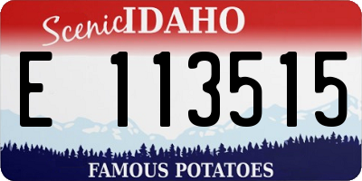 ID license plate E113515