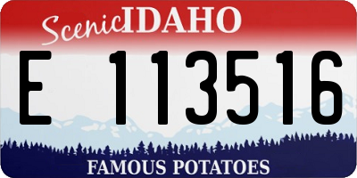ID license plate E113516