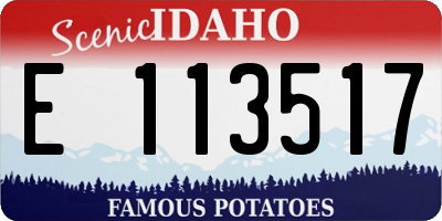 ID license plate E113517