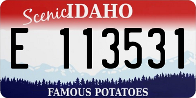 ID license plate E113531