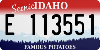 ID license plate E113551