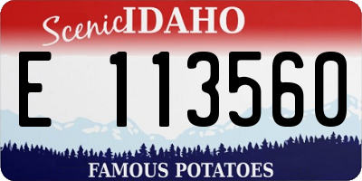 ID license plate E113560