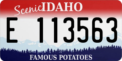 ID license plate E113563