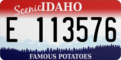 ID license plate E113576
