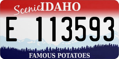 ID license plate E113593