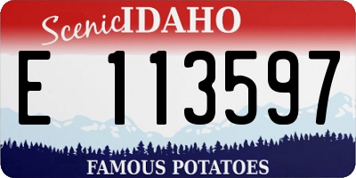ID license plate E113597