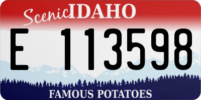ID license plate E113598