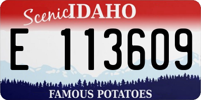 ID license plate E113609