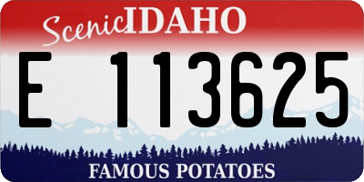ID license plate E113625