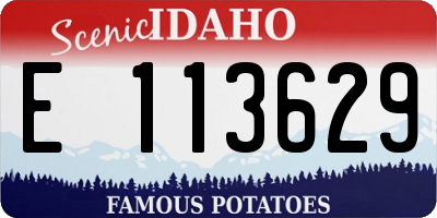 ID license plate E113629